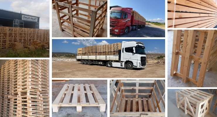 Keşap Euro Palet Fiyatları